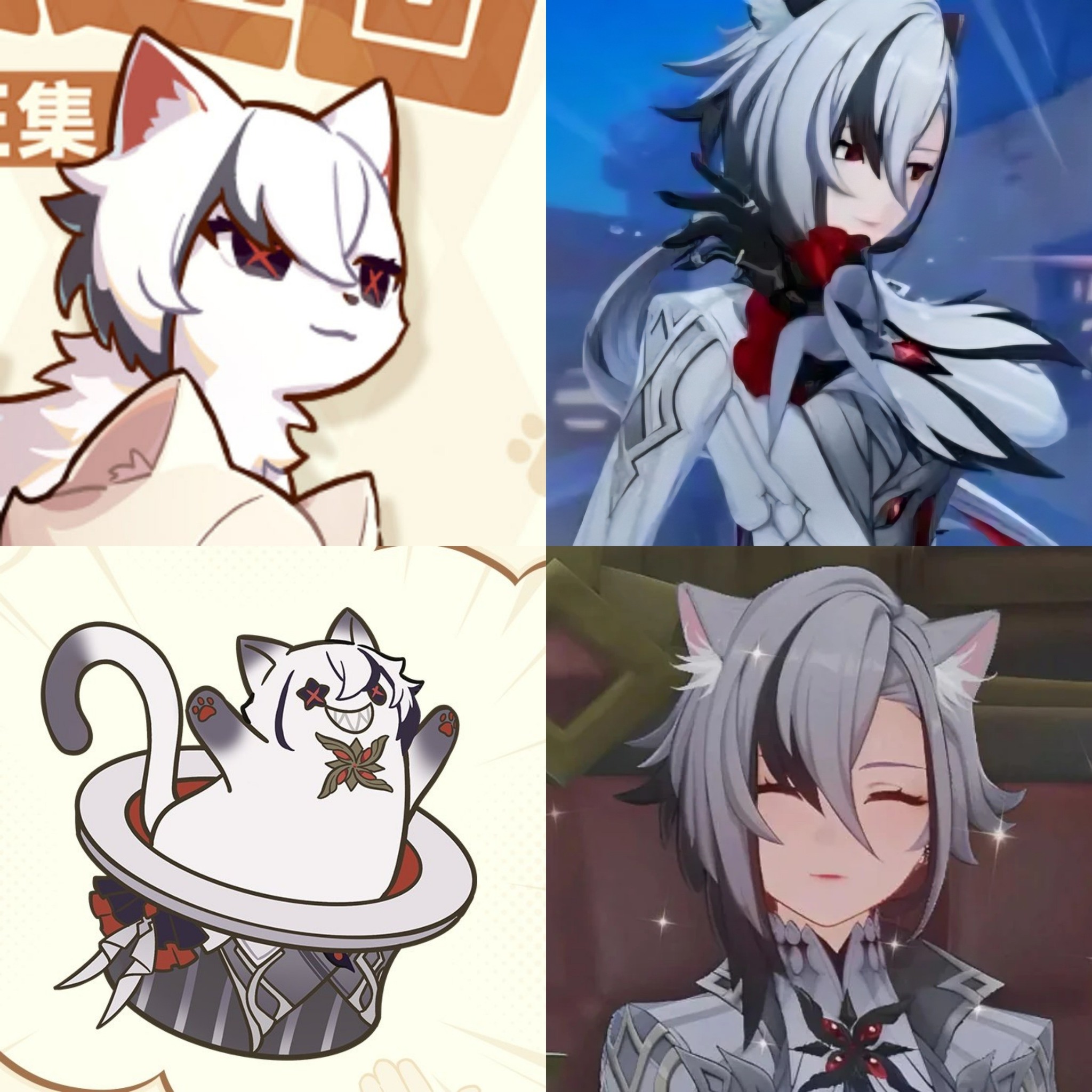 Teyavt - Catchino was teased a long time ago ©️ HatCat Magic Grand Tour ...