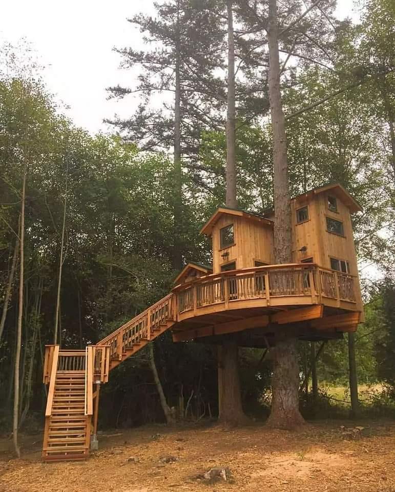 Joe's Discount Tree & Stump Service | Crown Point IN