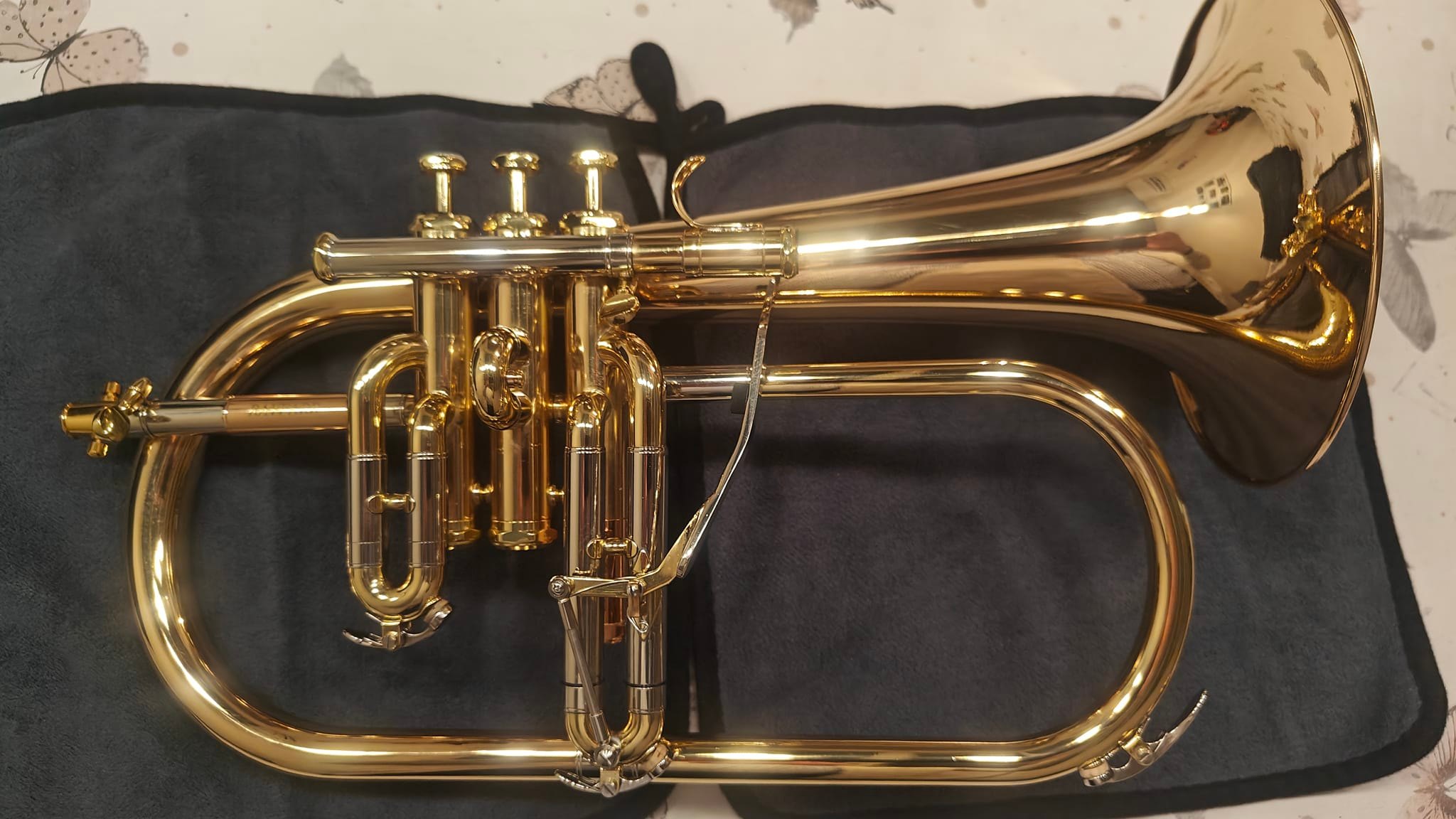 Tonight playing on my brand new Ray Farr Flugelhorn in the Big Band for the first time, only played it at home Was looking for something special like an Adams or van