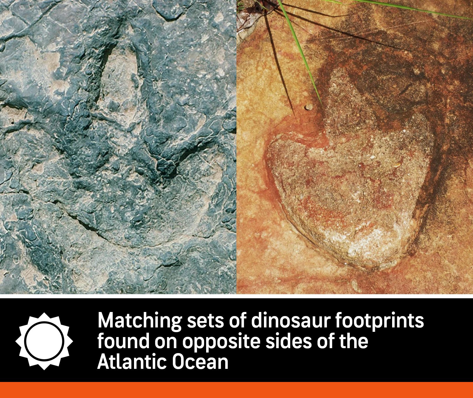 Paleontologists found matching sets of dinosaur footprints in