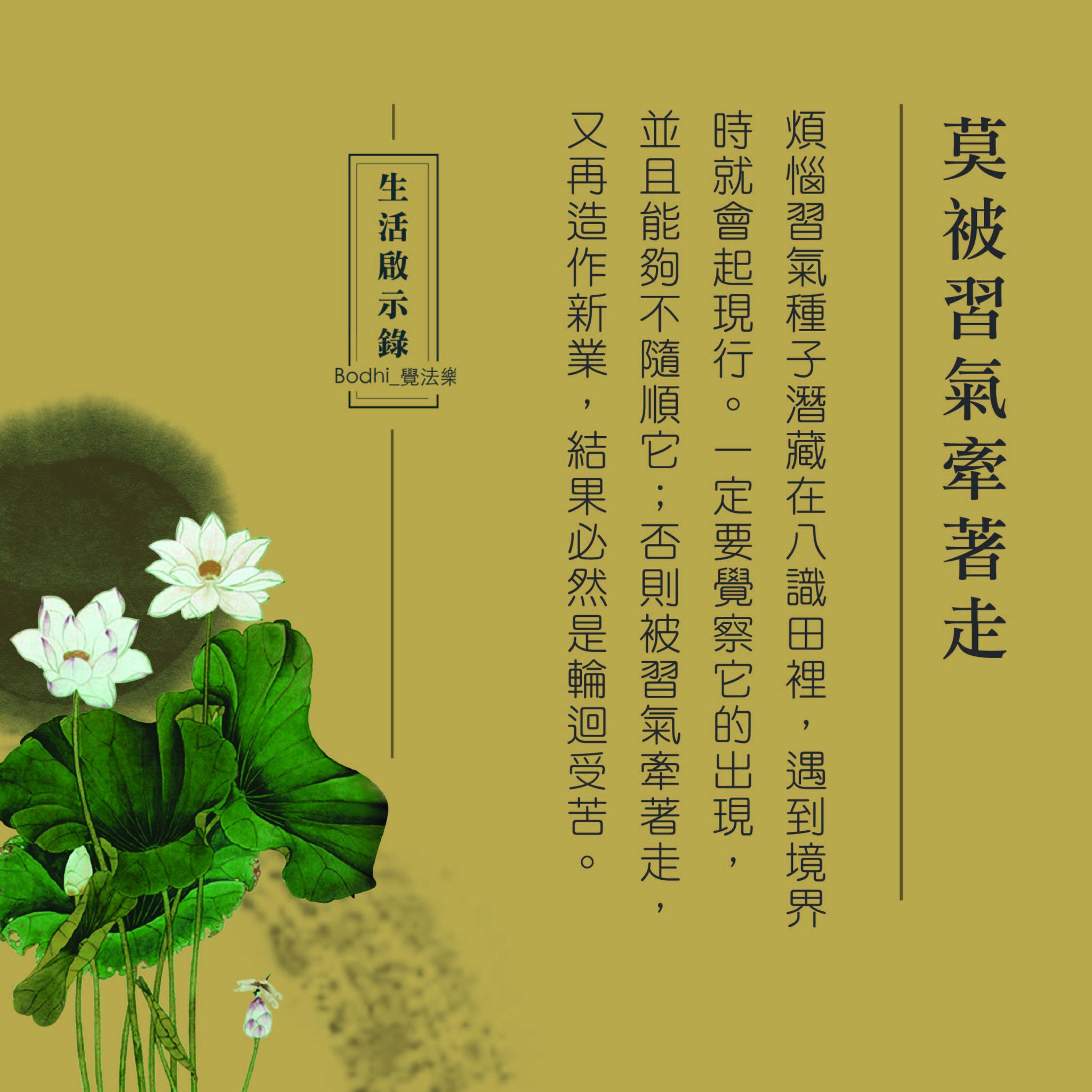 禪修佛學-覺法樂 - 草地上的枯針葉 文╱見顧法師...
