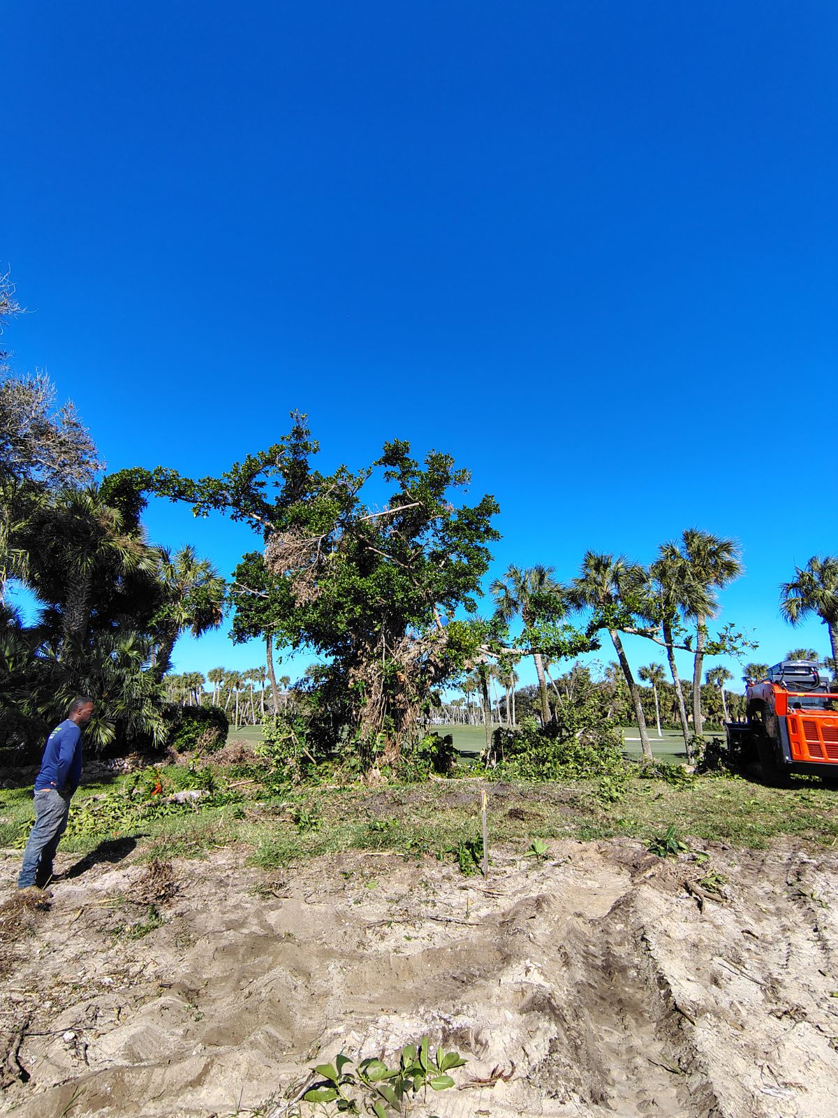 Treasure Coast Tree & Land Services | Vero Beach FL
