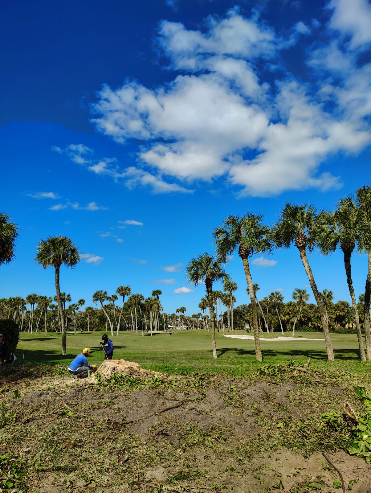 Treasure Coast Tree & Land Services | Vero Beach FL