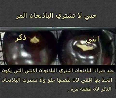جملة واحدة تقدم صمام الفرق بين الباذنجان الحلو والمر Coachoutletfactorystoresl Com