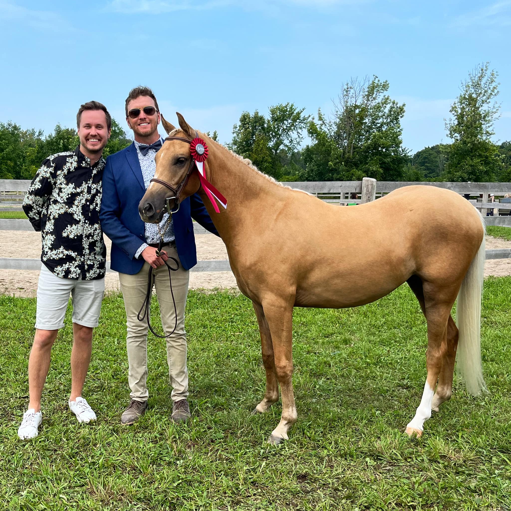 Justin Ridgewell Dressage | Collingwood ON