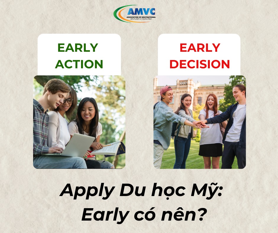 AMVC Education Group | Ho Chi Minh City