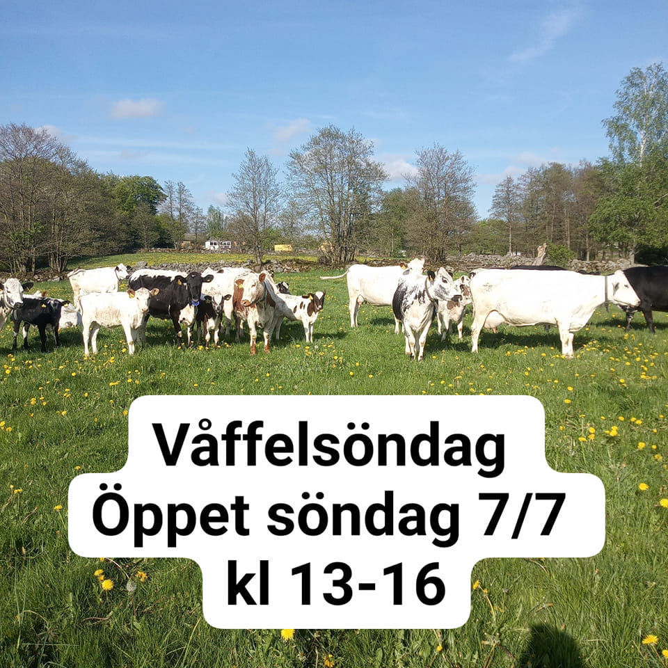 Söderlunds småbruk | Sösdala