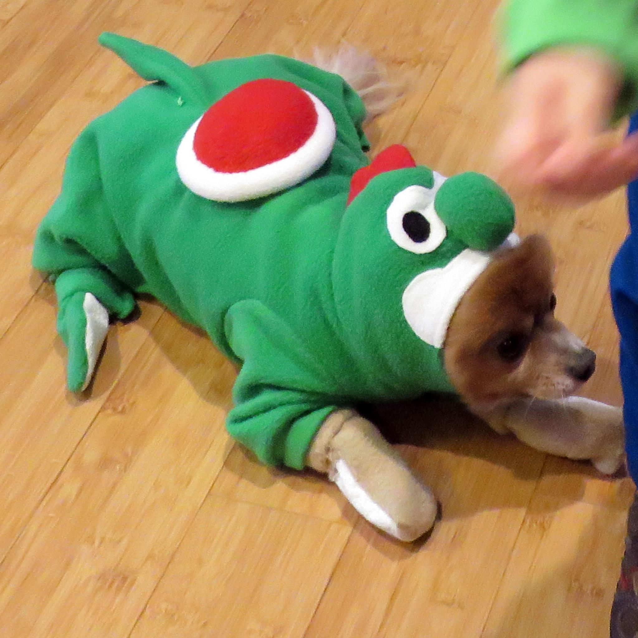 Yoshi Dog Costume