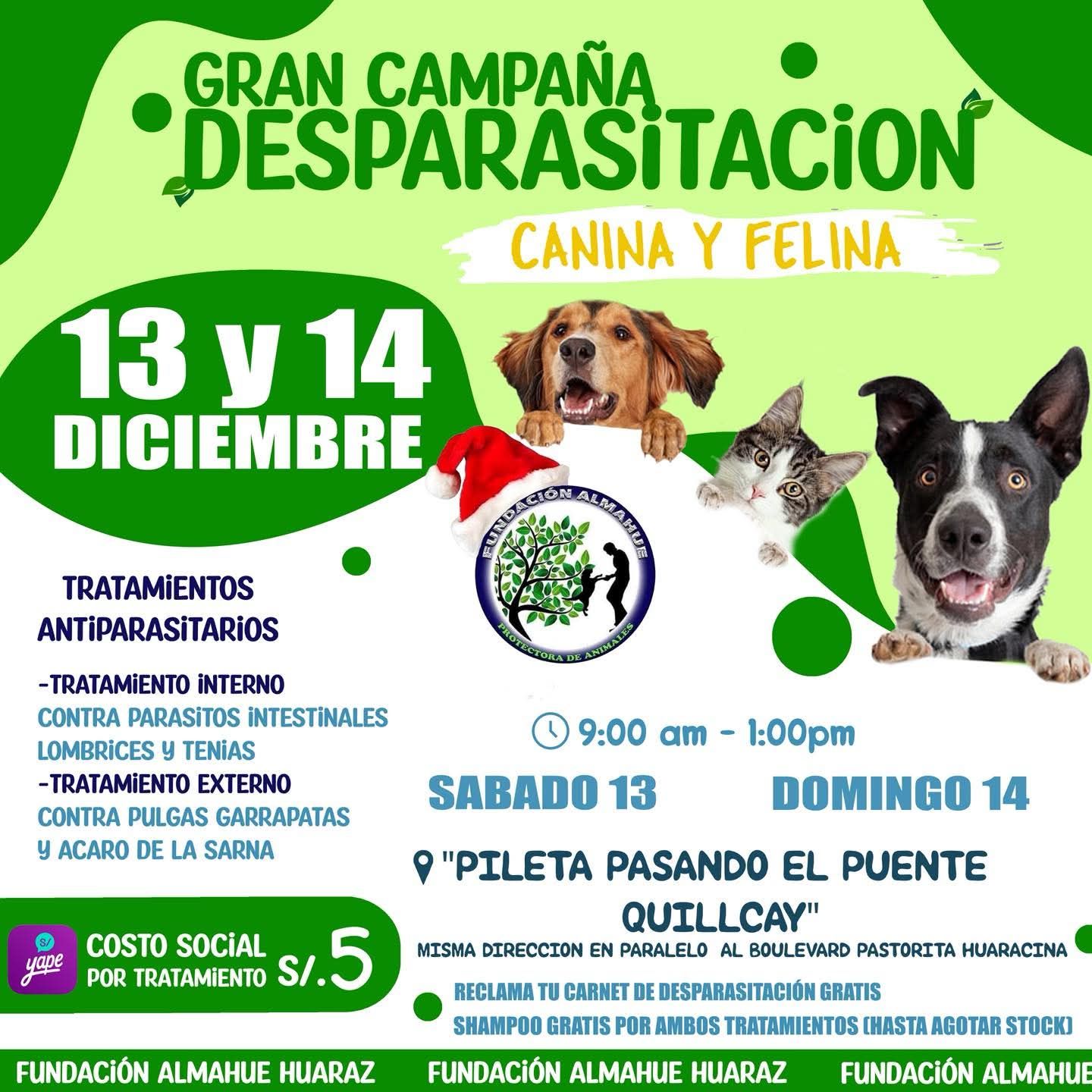 Fundación Almahue Huaraz added... - Fundación Almahue Huaraz