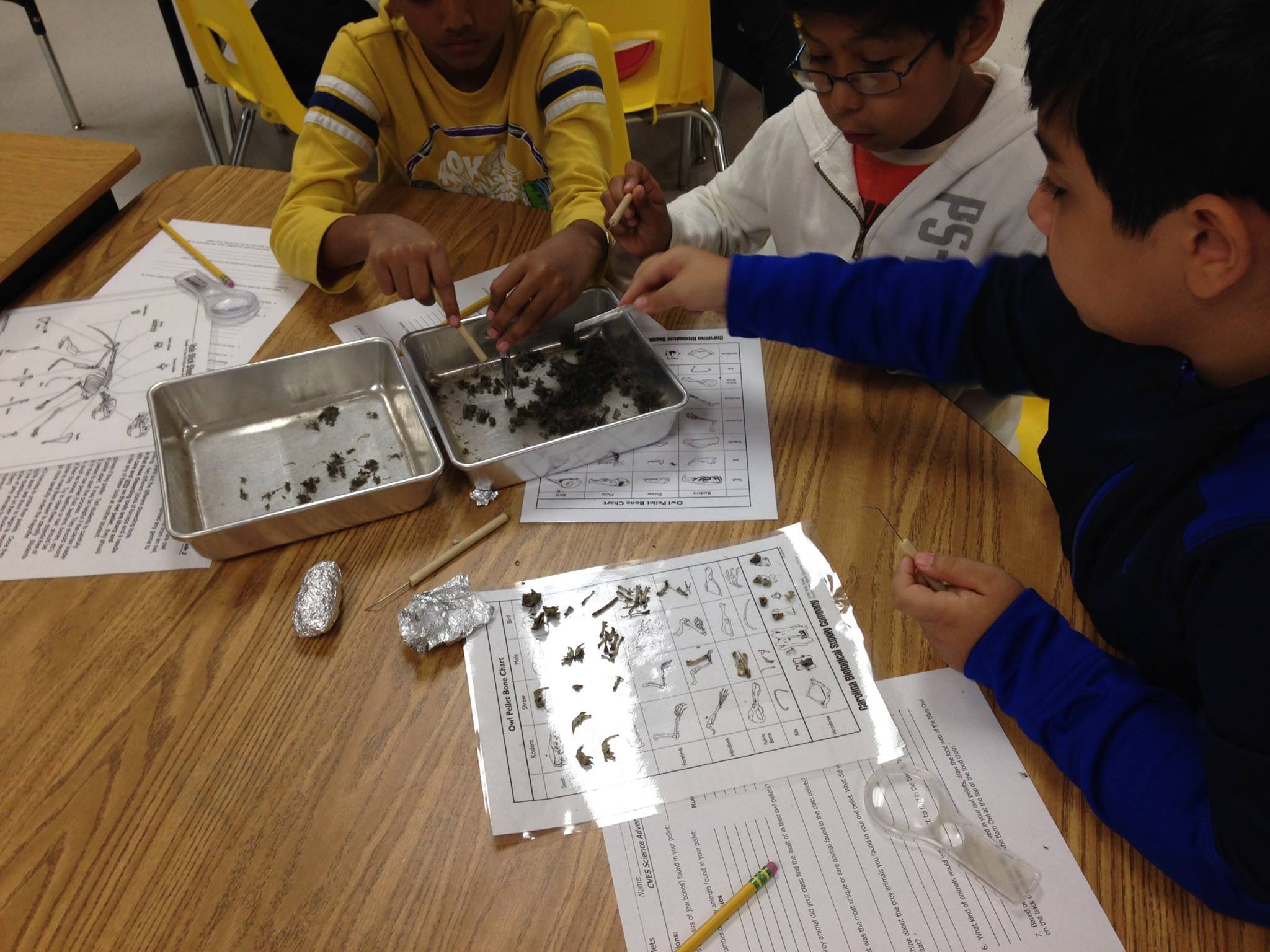 Creek View Elementary... - Creek View Elementary School PTA