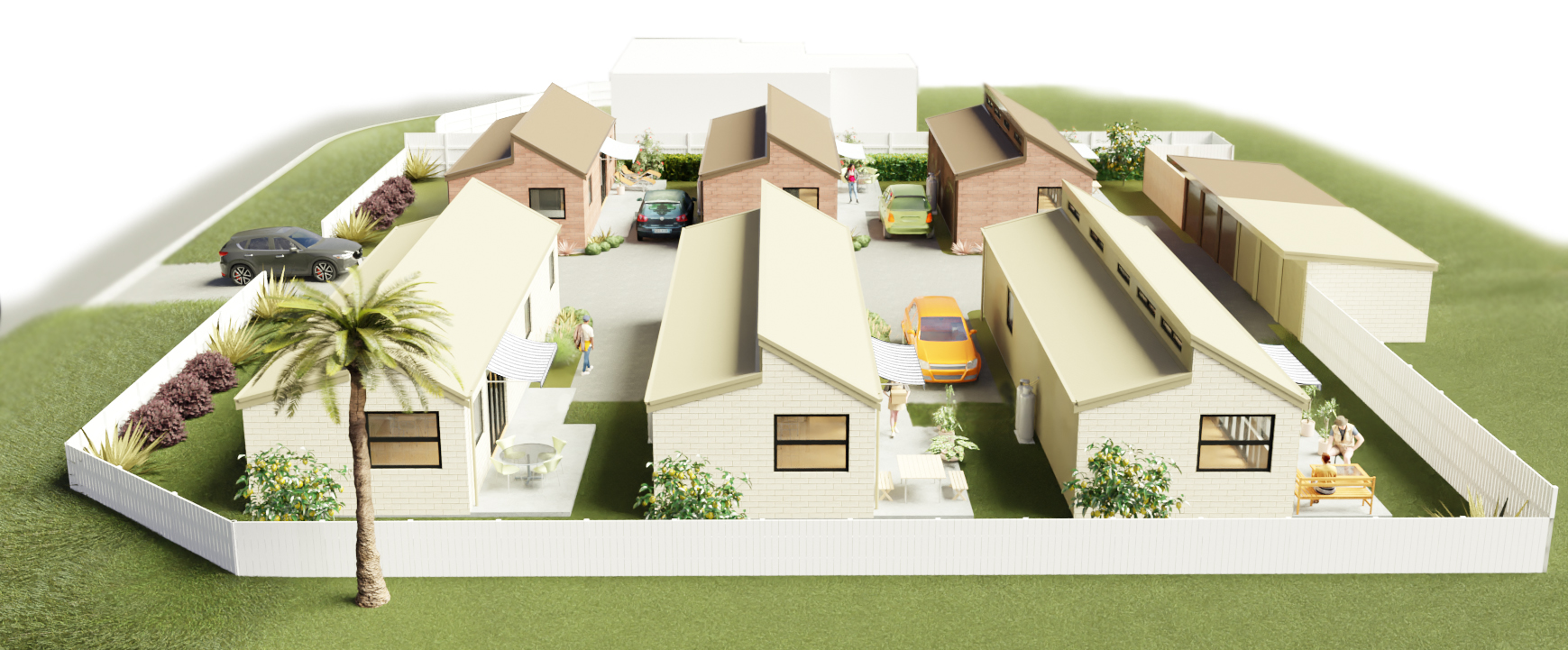 DLC Design | Tauranga