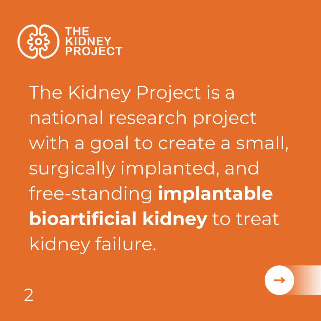 The Kidney Project