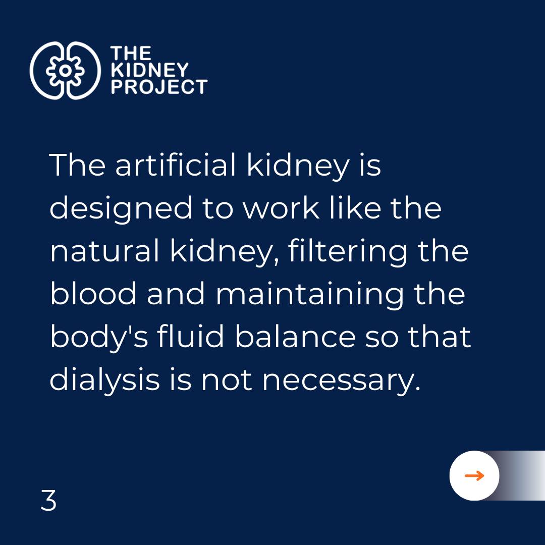 The Kidney Project