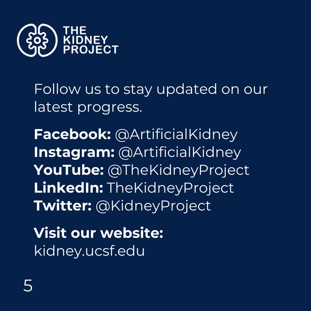 The Kidney Project