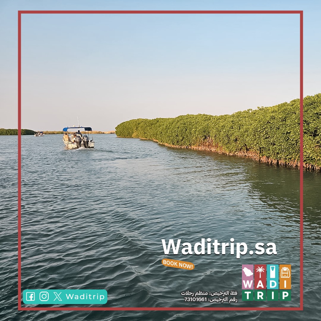 Wadi Trip | Riyadh