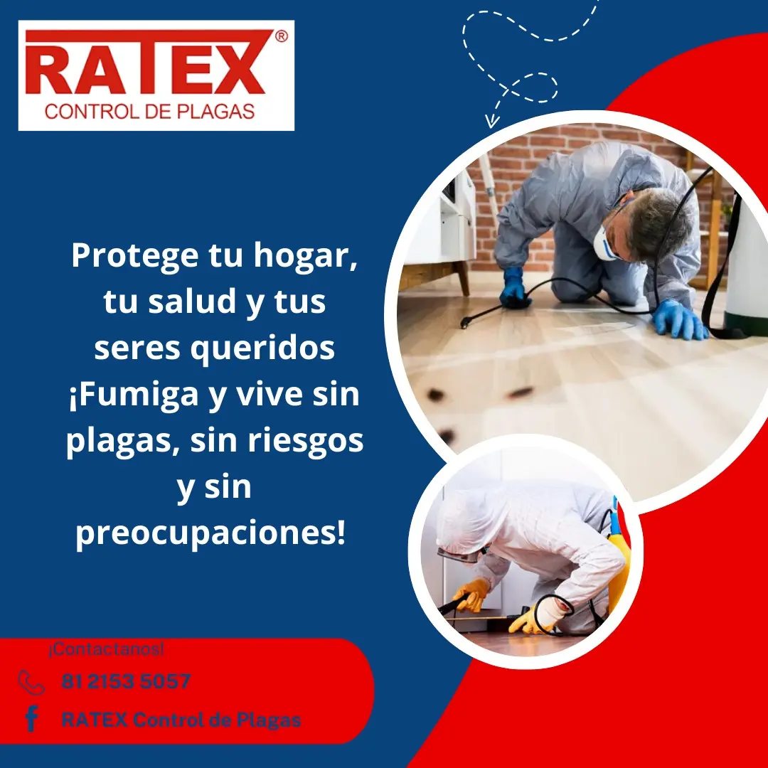 RATEX Control de Plagas