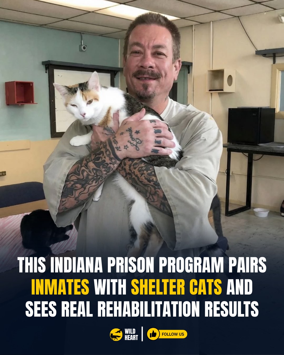 Wild - In one Indiana prison, men serving time fall asleep to the sound ...