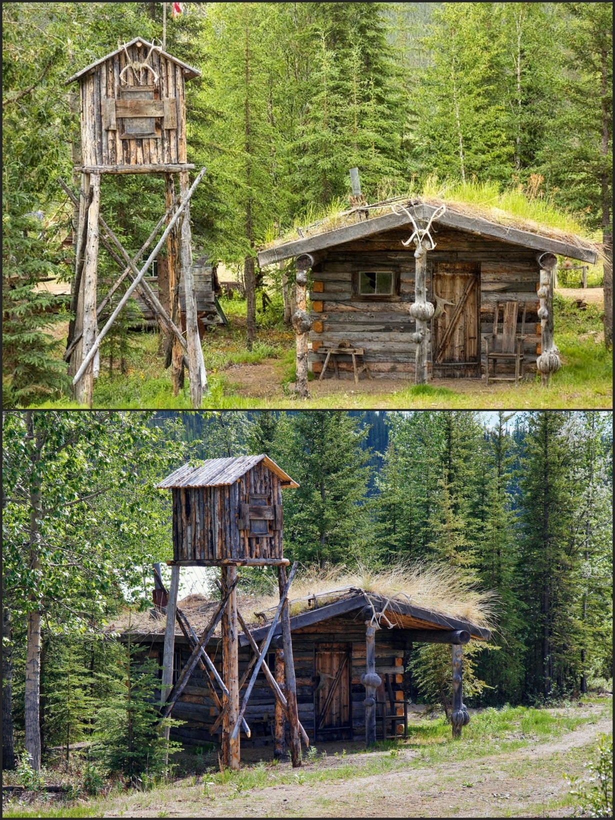 Bonfire - A historic trapper's cabin and a raised food cache located in ...