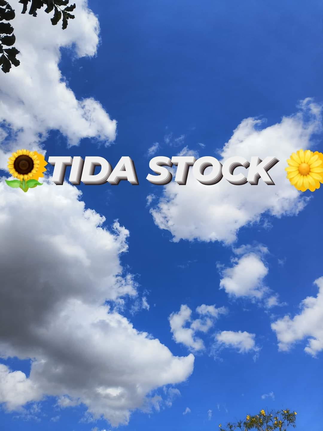 TIDA STOCK SHOP
