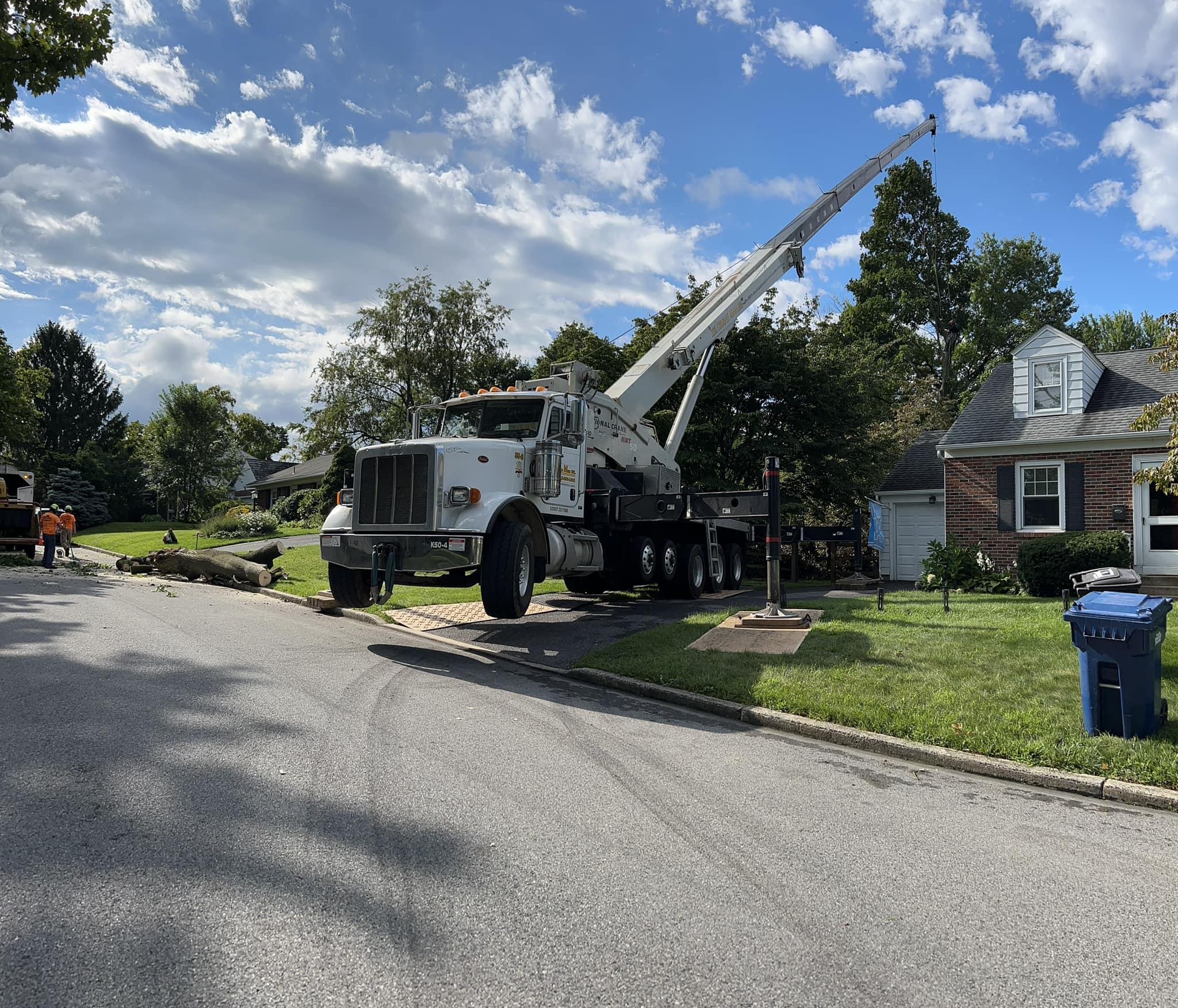 Precision Tree Experts | Easton PA
