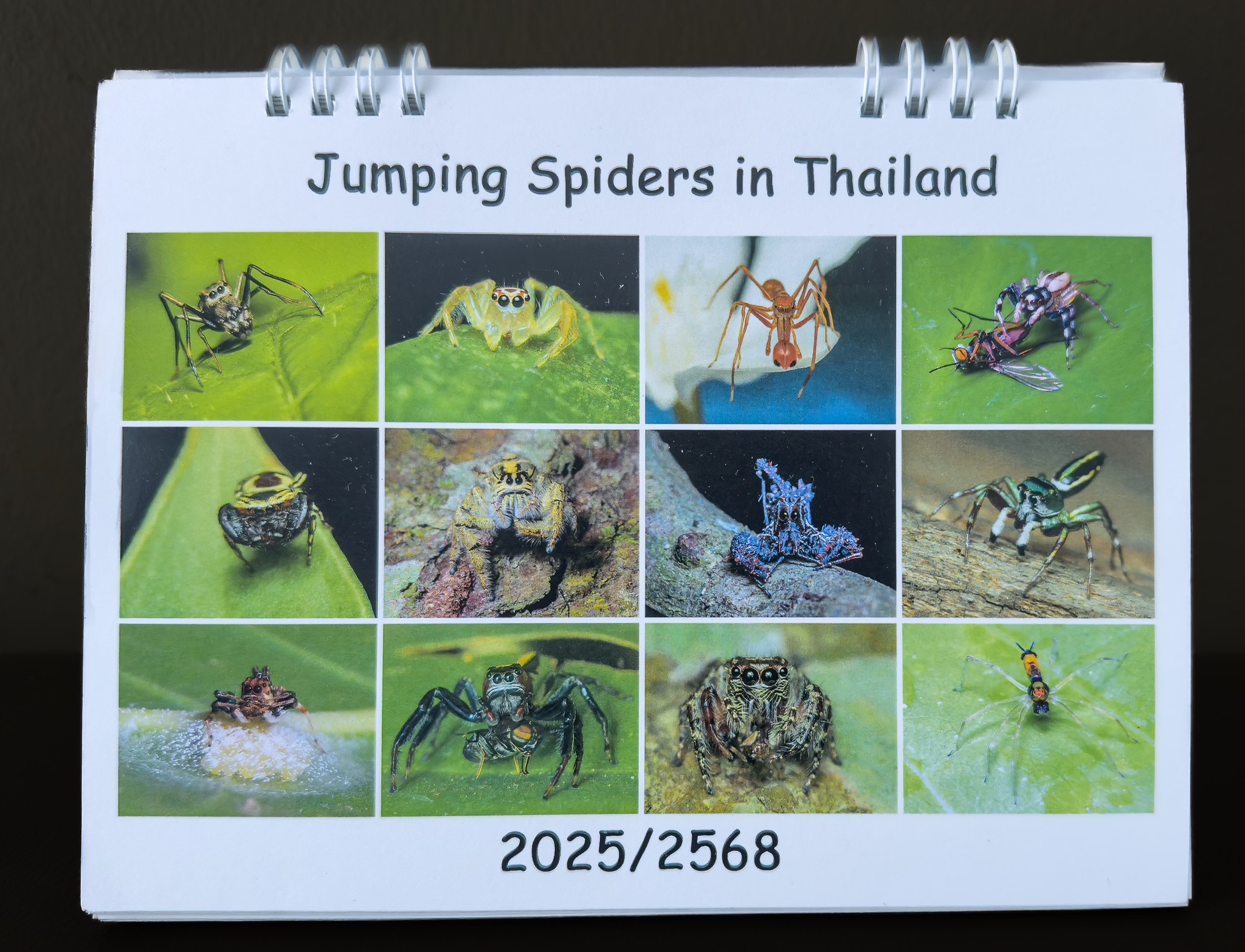 1-2568 วิจัยS02 | Facebook