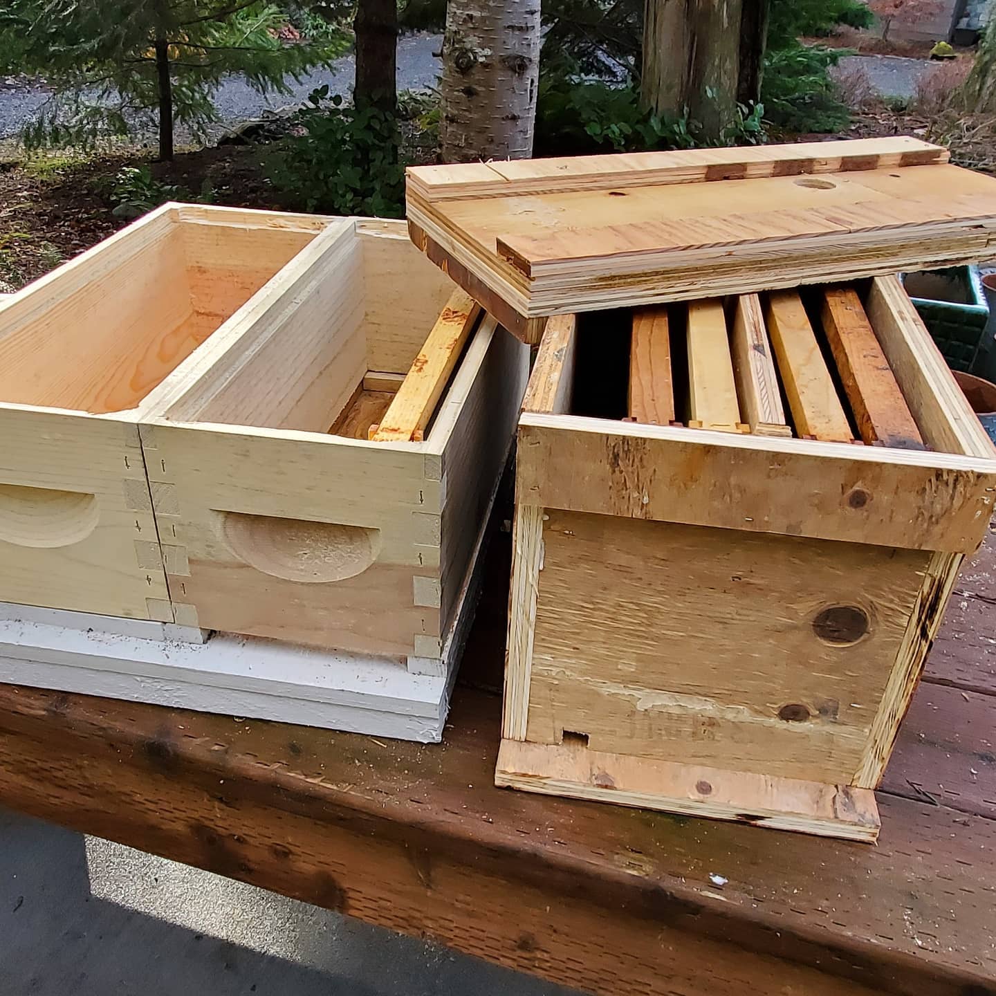 It's been raining for days and I have... - Full Frame Apiary