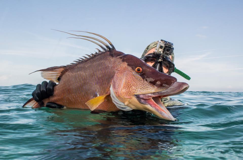 Spearheads - Nolan and Aaron had the pleasure of diving with G.R. Tarr ...