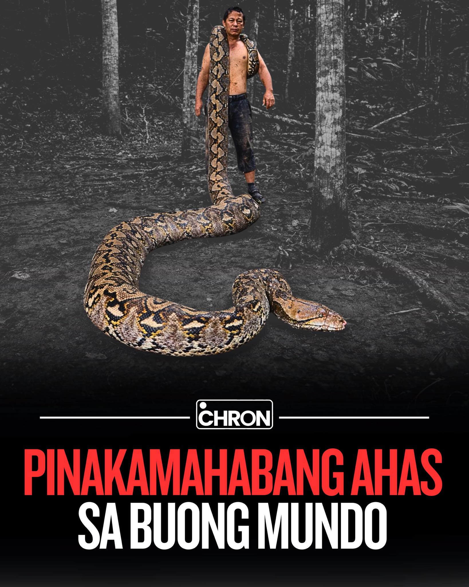 Chron - GRABE ANG HABA! Kinumpirma ng Guinness World Records (GWR) na ...
