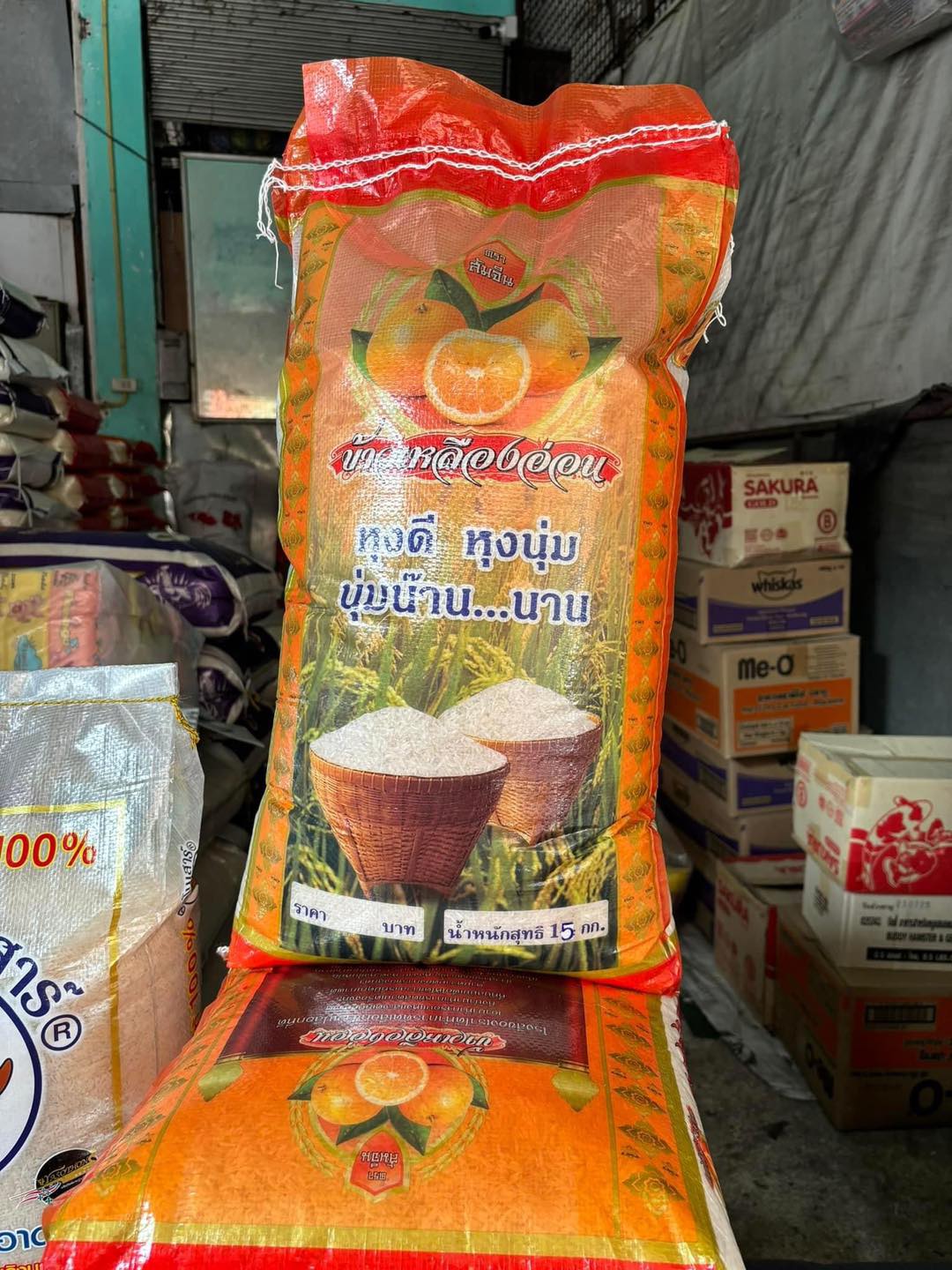 Rice Land