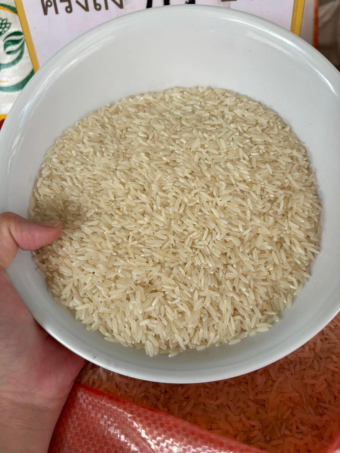 Rice Land