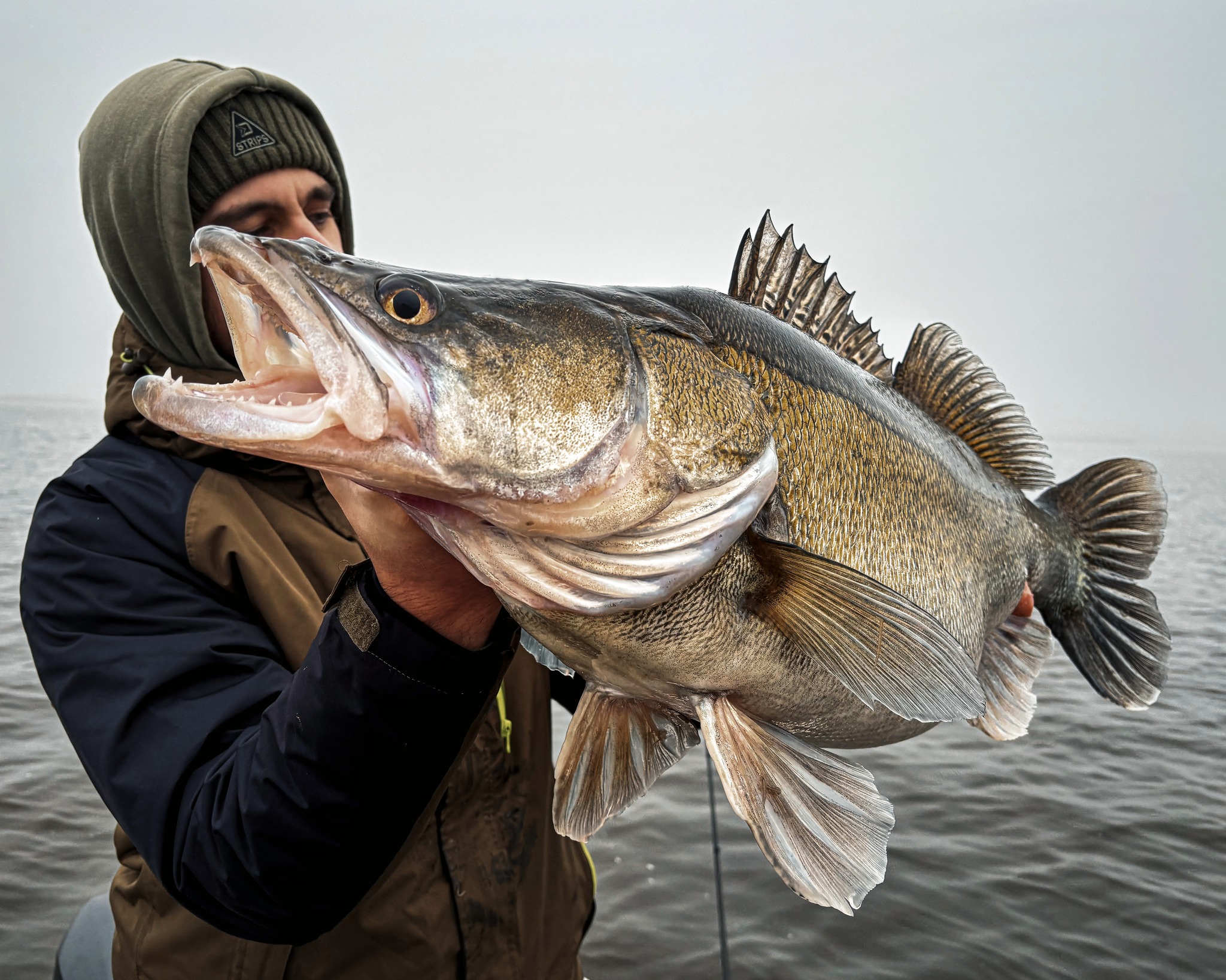 Prívlač je môj Život / Spin Fishing is my Life - Dobré ráno všetkým. 🎣🦈 ...