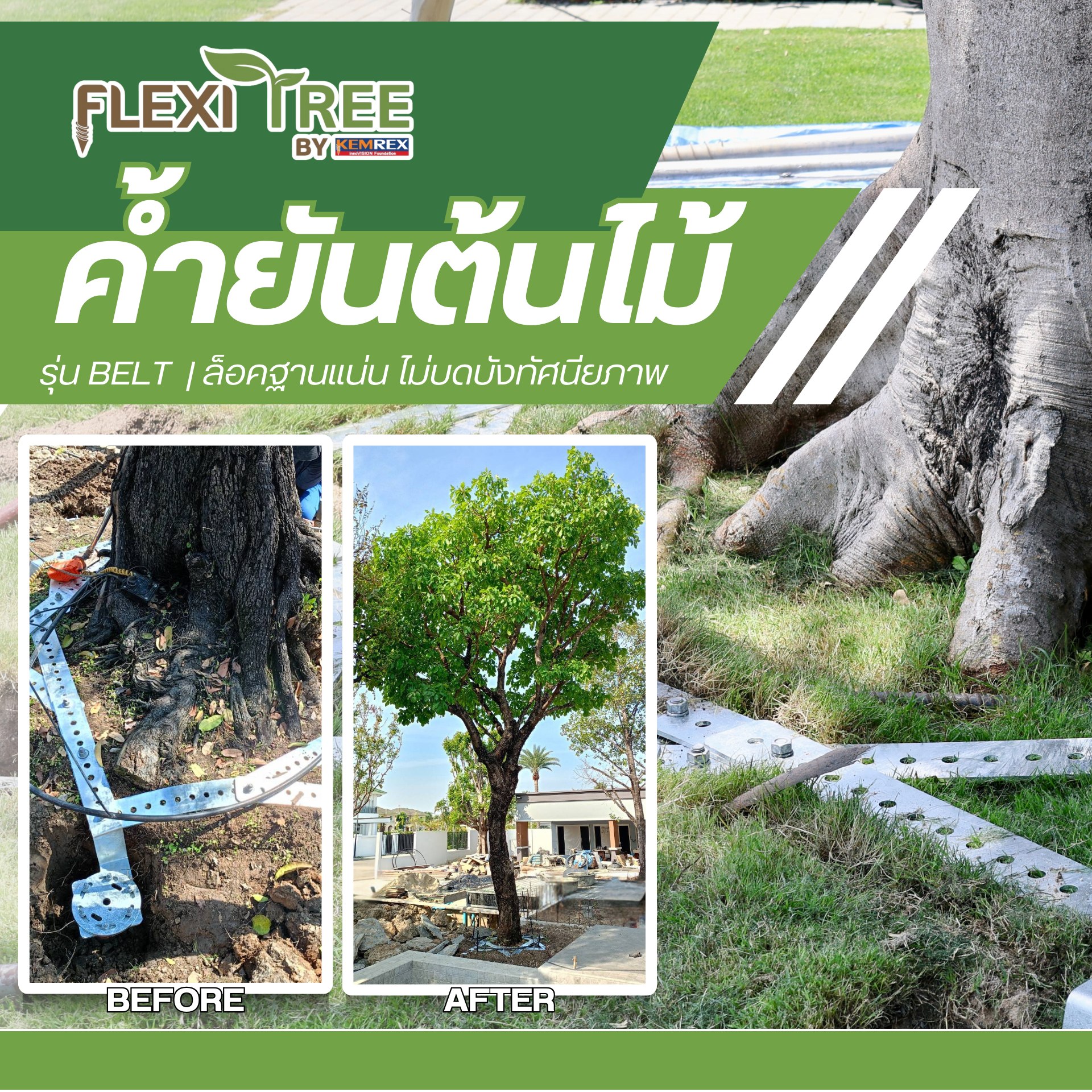🌱🌿 ปกป้องต้นไม้ของคุณด้วย... - FlexiTree ค้ำยันต้นไม้ | Facebook