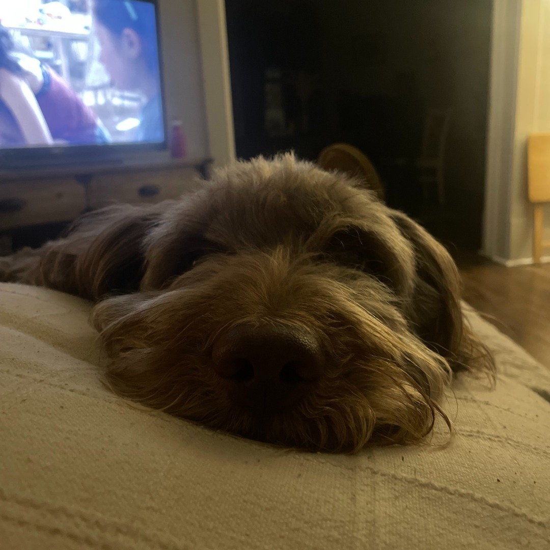 Bill - This month we want to introduce you to Bailey Mathias' dog, Kay ...