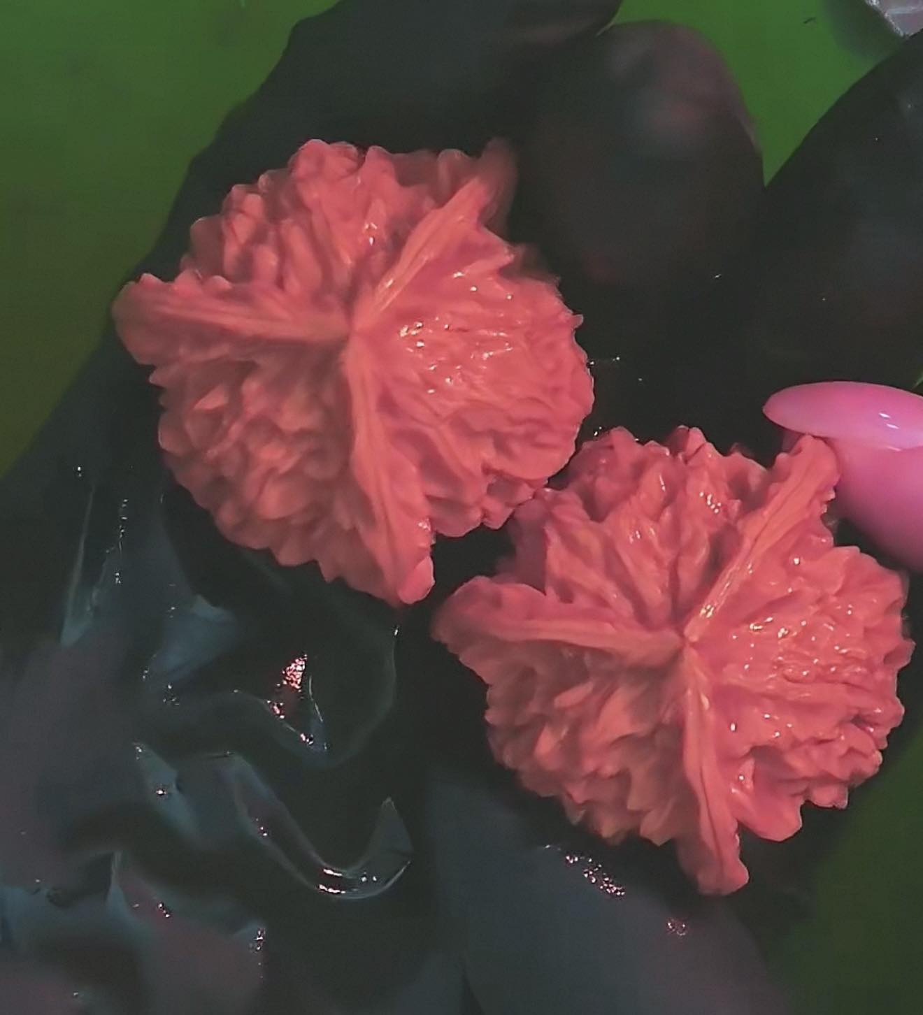文玩核桃#盤山三稜今天來說明介紹的是文玩核桃裡的盤山三稜，顧名思義