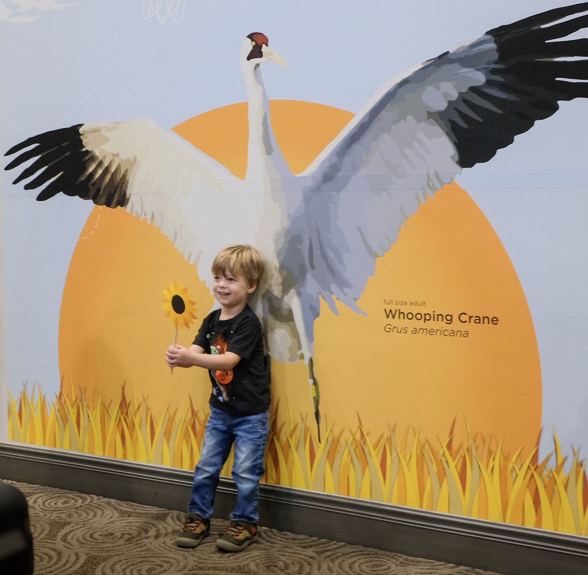 What a fantastic day at Cook... - Decatur Morgan Hospital | Facebook
