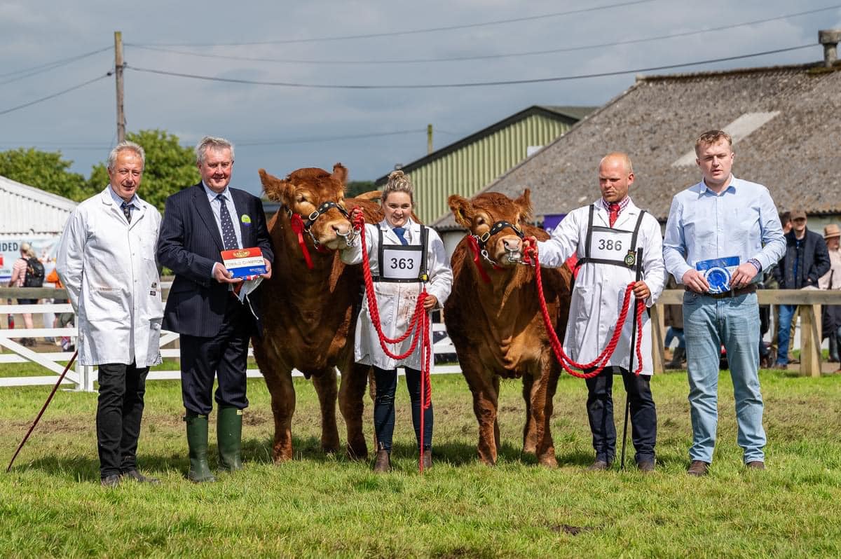 Team Maraiscote ... - British Limousin Cattle Society | Facebook