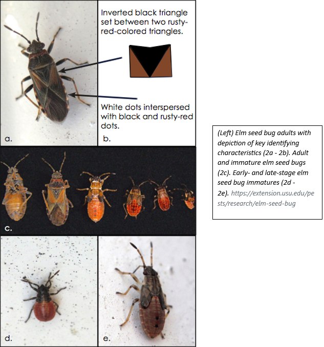 Poulin's Pest Control | Winnipeg MB
