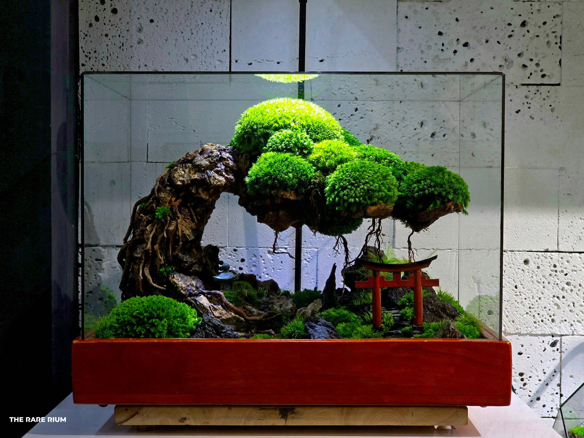 The Rare Rium - Plant &... - The Rare Rium - Plant & Moss Art