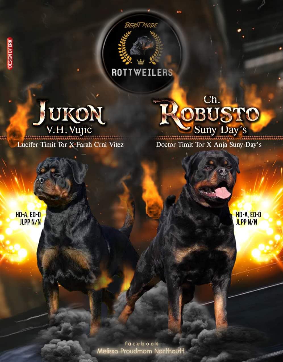 Vom BMR Haus- Beast Mode Rottweilers | Pinson AL