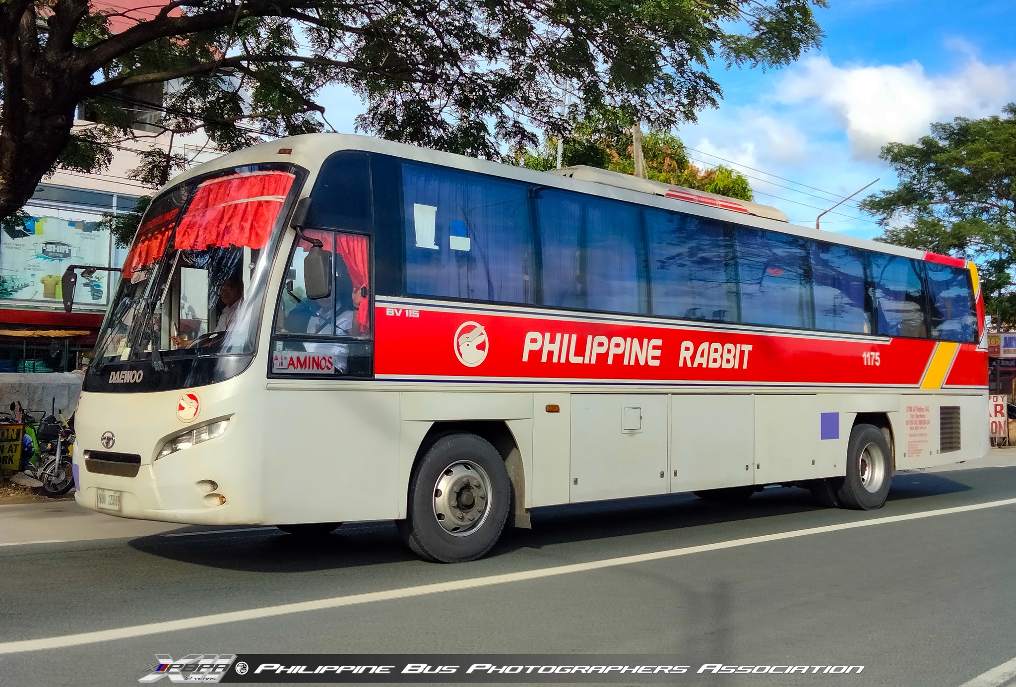 Rabbit... - Philippine Bus Photographers Association (PBPA) | Facebook