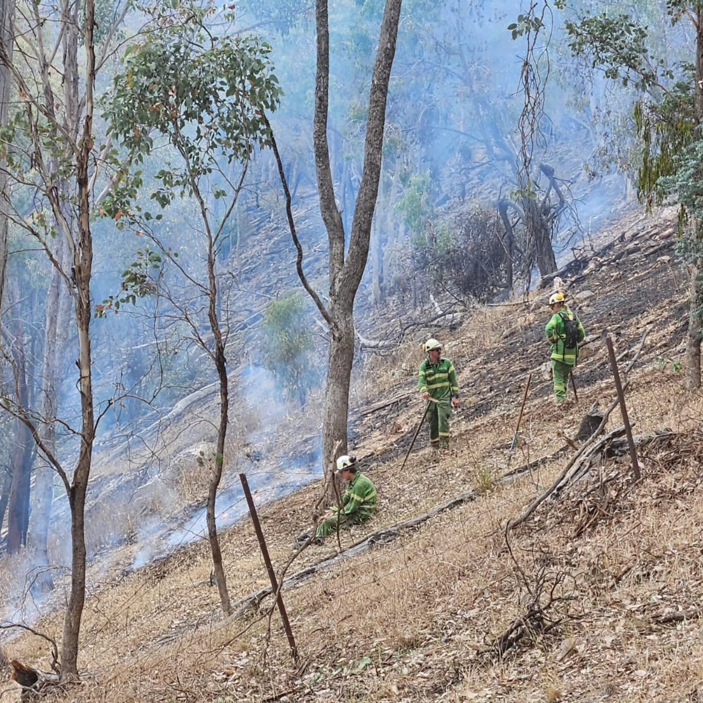 Some of our firefighters spent... - South Warrandyte CFA | Facebook