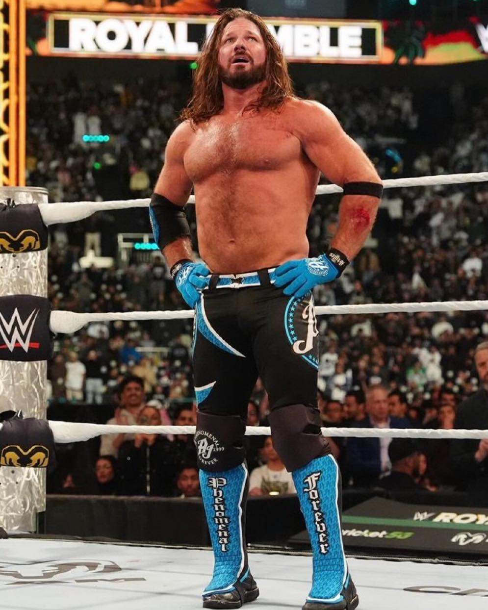 WWE AJ STYLES 実使用Tシャツ 証明写真色紙つき プロレス WWE AJ