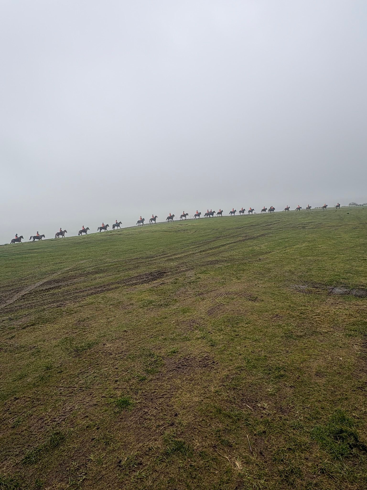 🌫️ Its been a foggy old week, but... - Middleham Racing Tours | Facebook