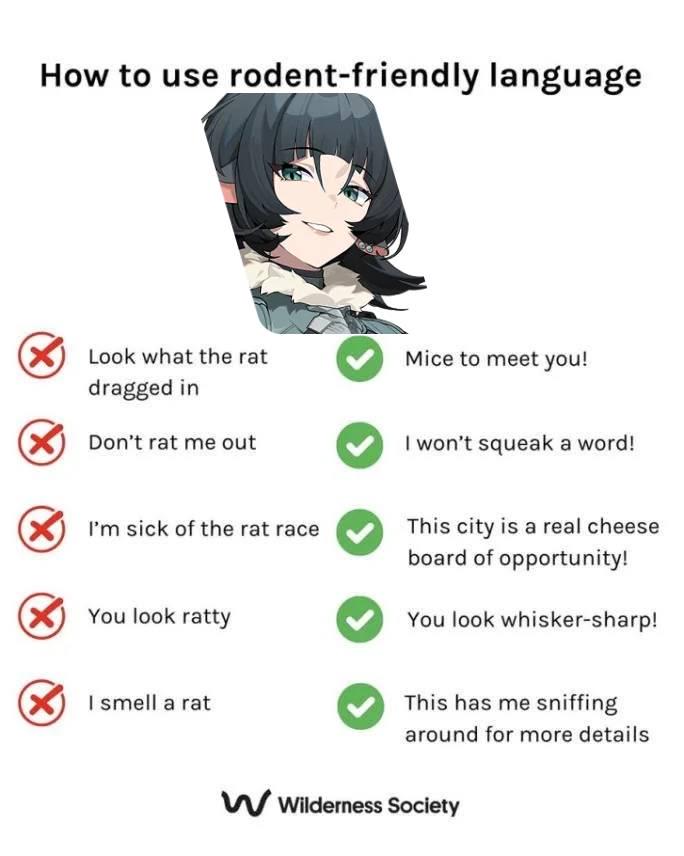 How to use rodent rodent-friendly language Look what the rat dragged in ...