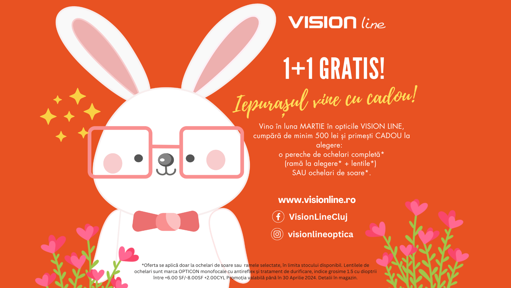 Optica VisionLine