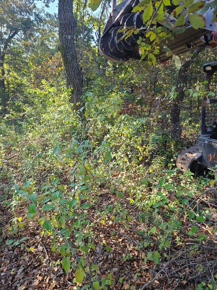 A.B.H Tree & Skidsteer Service | Shawnee OK