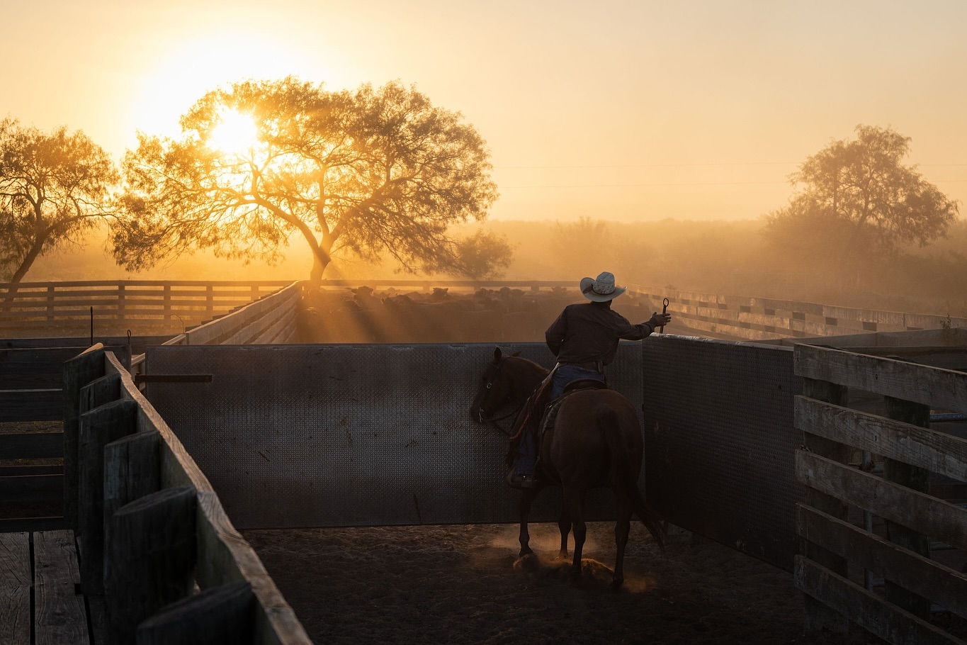 M Three Ranch Company | Red Bluff CA