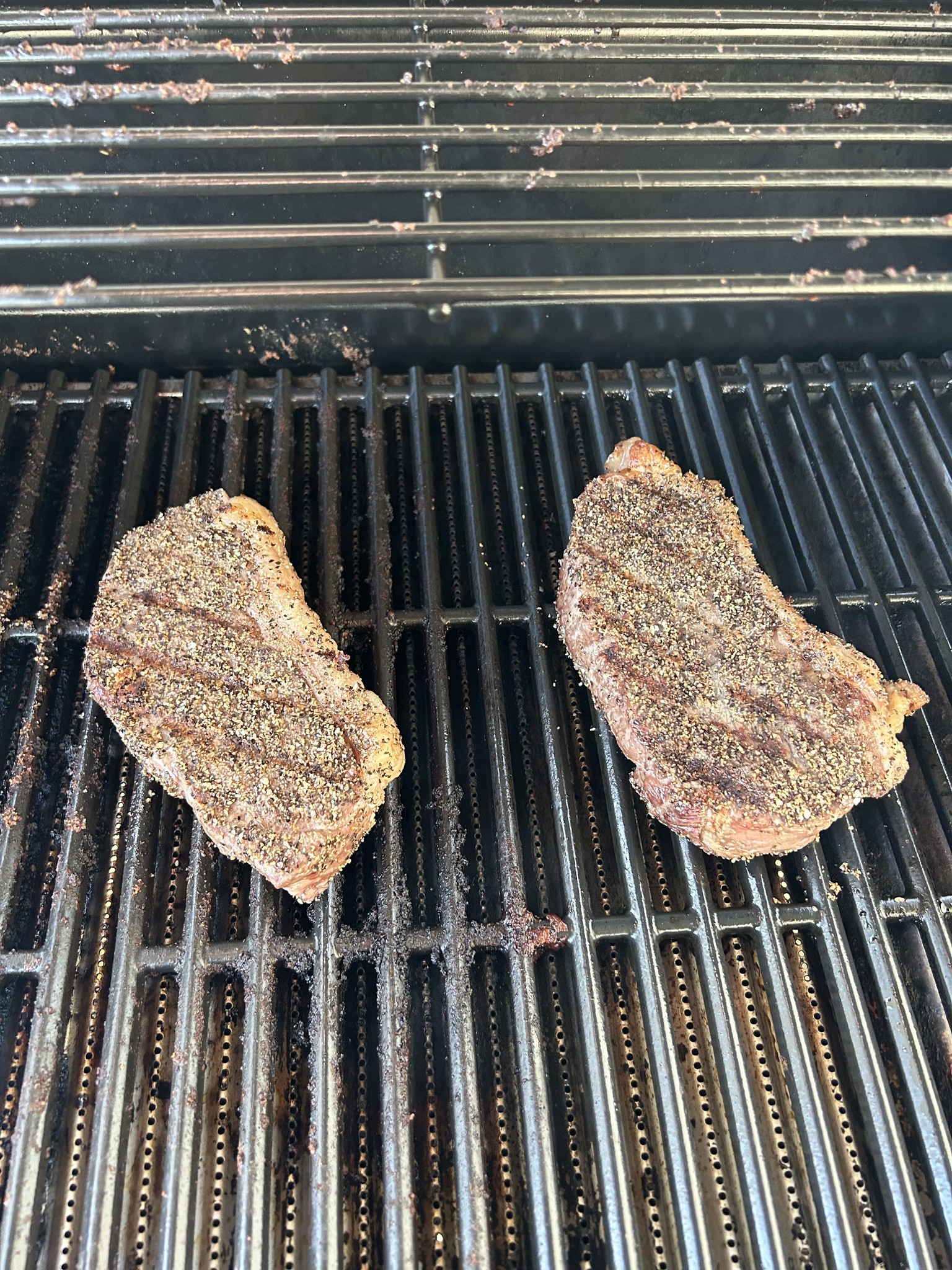 Rocking 711 Ranch | Edna TX
