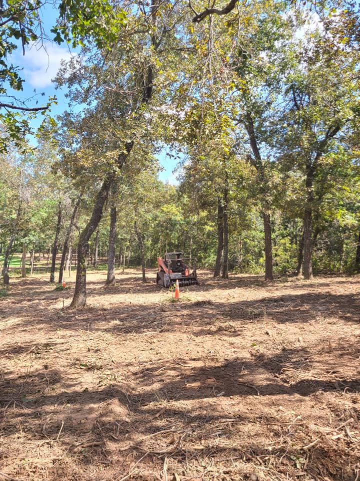 A.B.H Tree & Skidsteer Service | Shawnee OK
