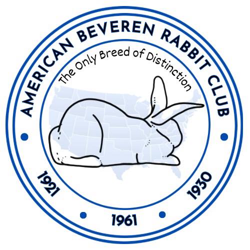 American Beveren Rabbit Club